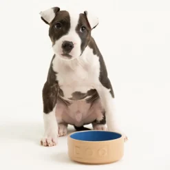 Cane Pet Bowls|Dog Bowls><noscript><img width=