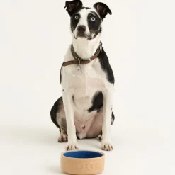 Cane Pet Bowls|Dog Bowls>Mason Cash Cane & Blue Lettered Dog Bowl 18cm
