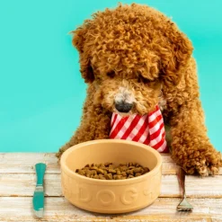 Cane Pet Bowls|Dog Bowls><noscript><img width=