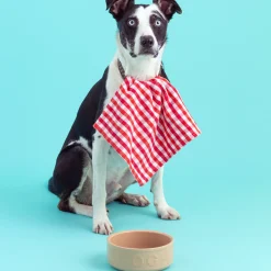 Cane Pet Bowls|Dog Bowls><noscript><img width=