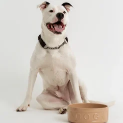Cane Pet Bowls|Dog Bowls><noscript><img width=