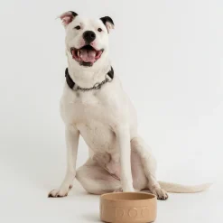 Cane Pet Bowls|Dog Bowls><noscript><img width=