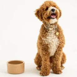 Cane Pet Bowls|Dog Bowls>Mason Cash Cane Lettered Dog Water Bowl 15cm