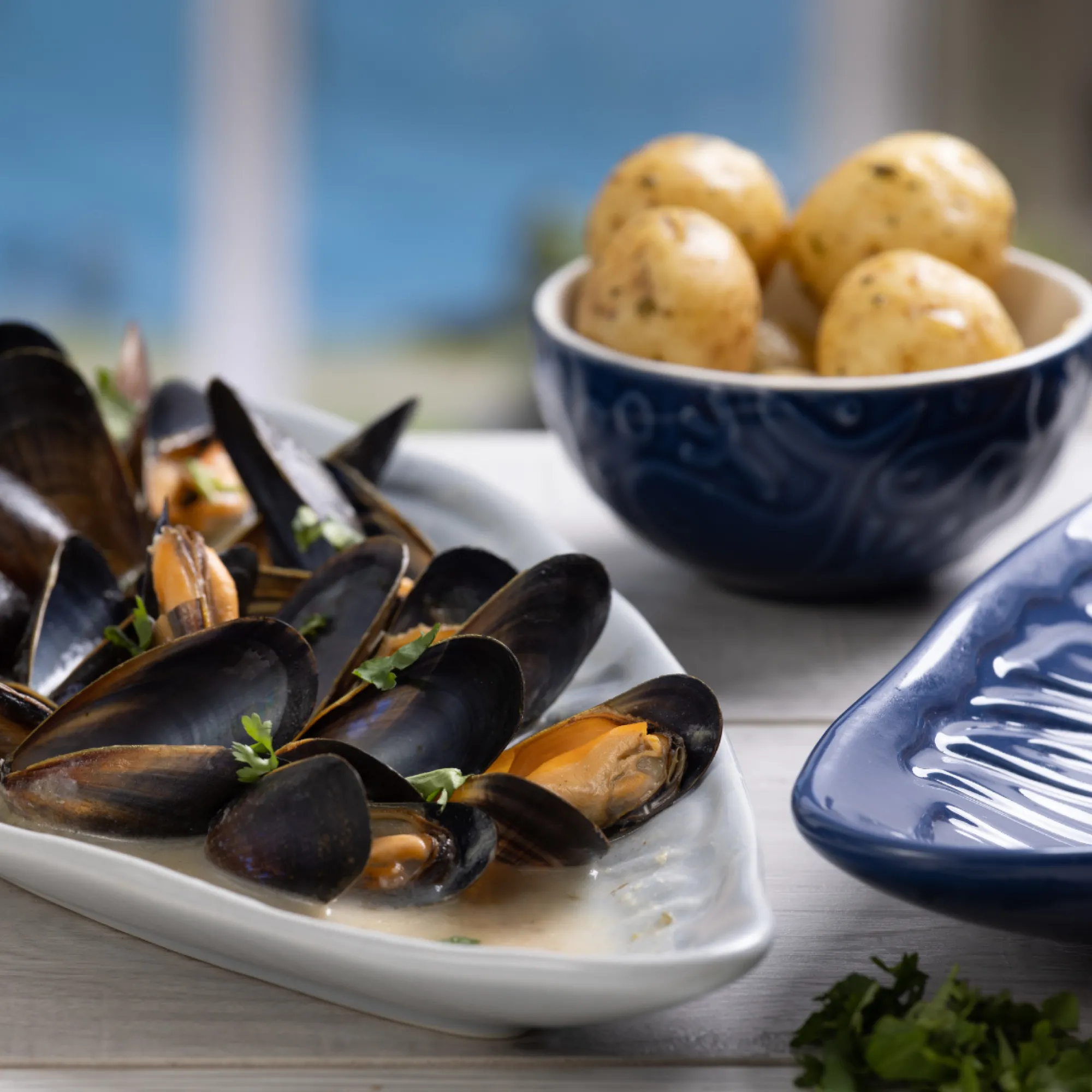 Serveware>Mason Cash Nautical Medium Shell Platter