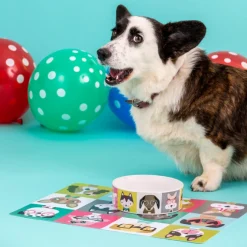 Decorated Pet Bowls|Dog Bowls>Mason Cash Pawtrait Dog Bowl 15x5cm