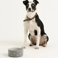 Decorated Pet Bowls|Dog Bowls>Mason Cash Polka Dot Grey Set Of 2 Dog Bowls 18cm